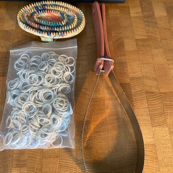 Riding Boots and Accessories - Picture 3 of 11